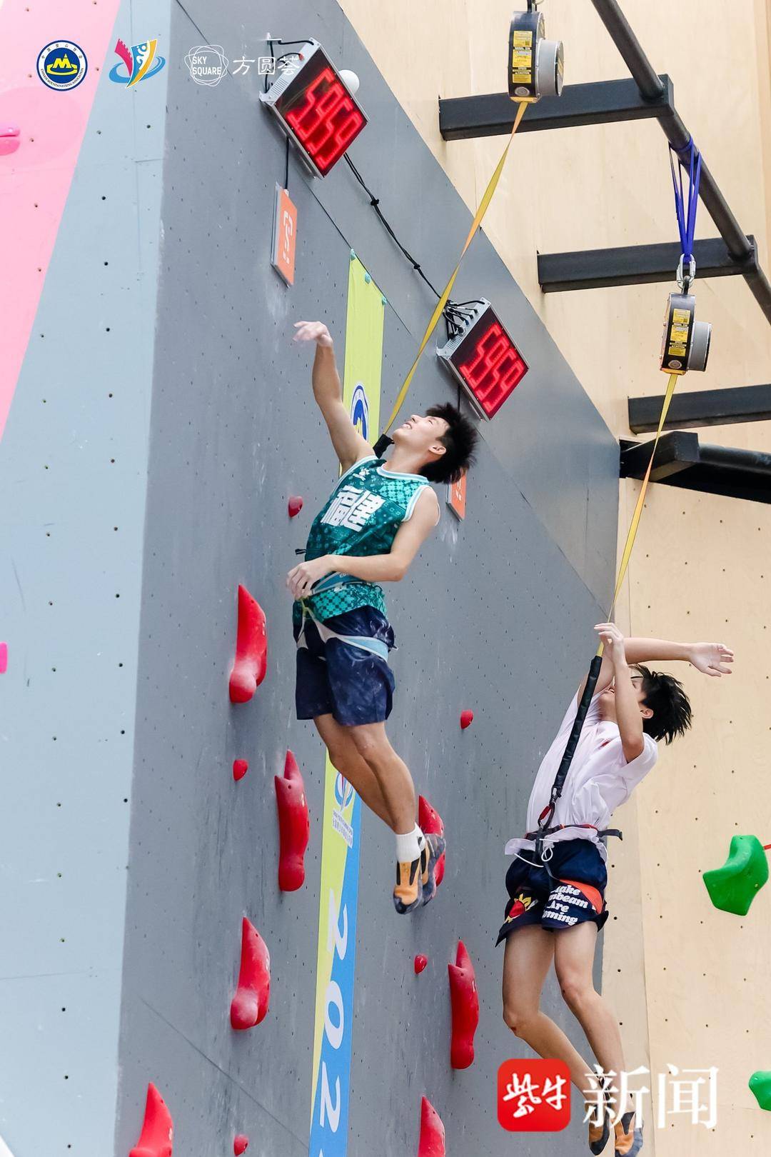 米高, tted 米高, tted